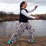 The easy tai chi sequence – Tai Chi Qigong Shibashi