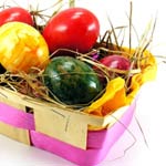 Put all your eggs in your fuel basket – eggs are a superfood